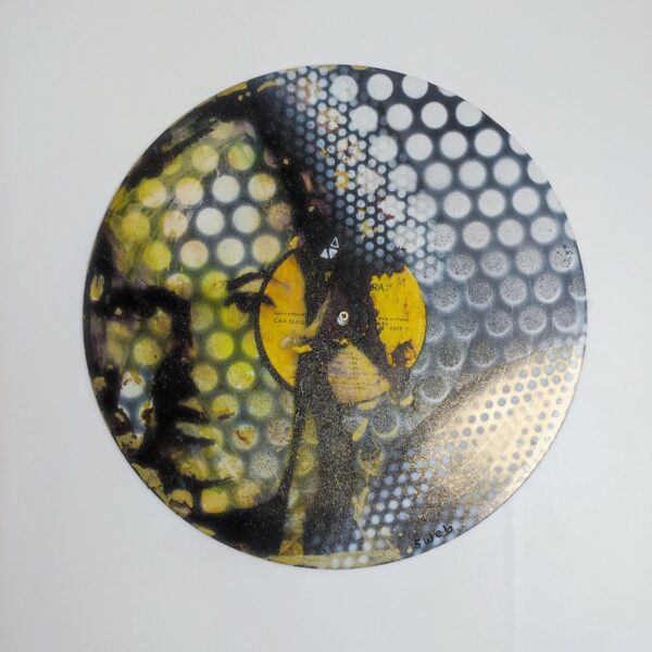 Vinyle 33t Goldman – Image 5
