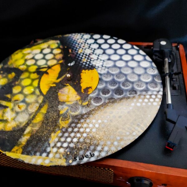 Vinyle 33t Goldman – Image 3