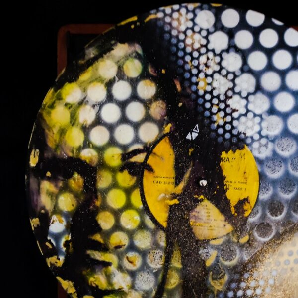 Vinyle 33t Goldman – Image 2